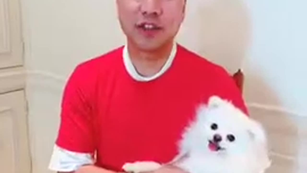 20181125 视频1