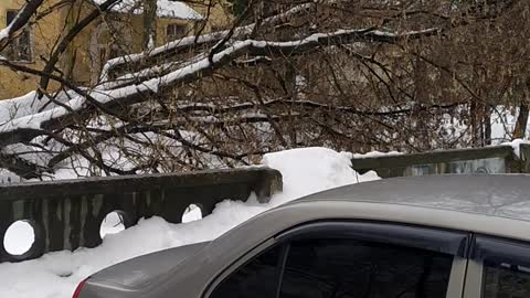 Russian outback