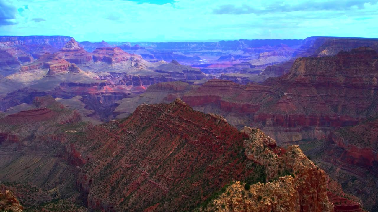 Captivating Animal Journeys and Breathtaking Landscapes Across the Globe