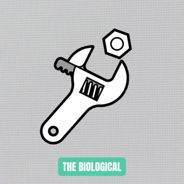 The Thing That Is as Amazing as an Org**m