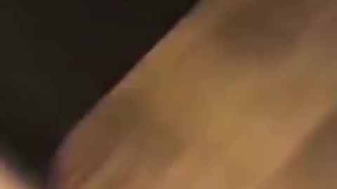 Funniest Cats Expression Video 😂Best Dogs🐶 And Cats😹 Videos #Shorts #cats #dogs