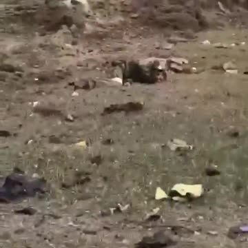 Russian Vehicle Wiped Out