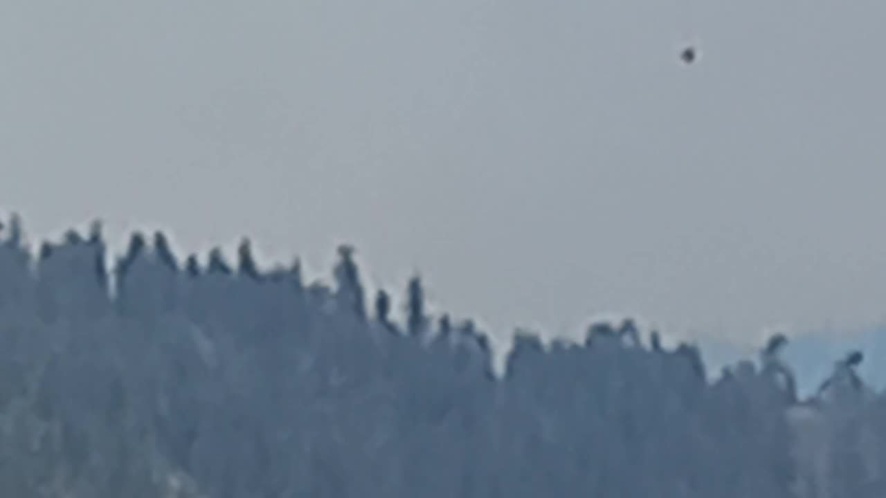 Two helicopters working on taking out the fire in west kelowna