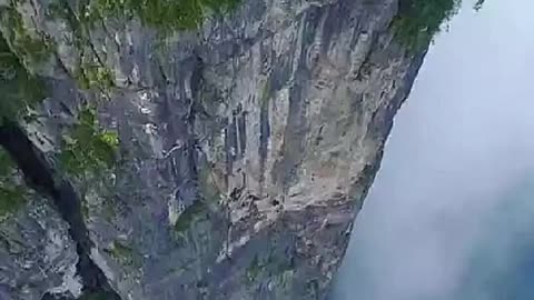 Fear 2