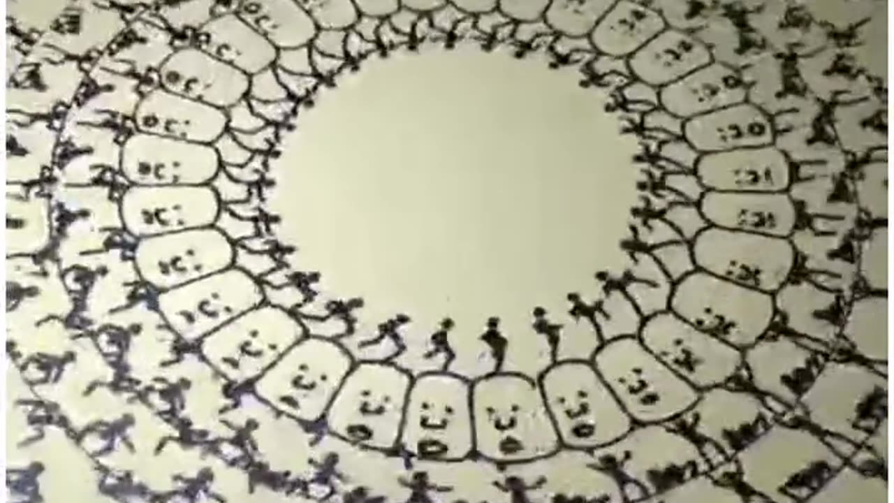 The zoetrope effect
