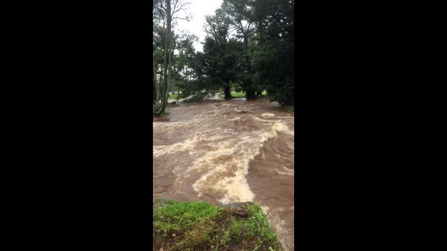 Front Yard Flooded in Hawaii