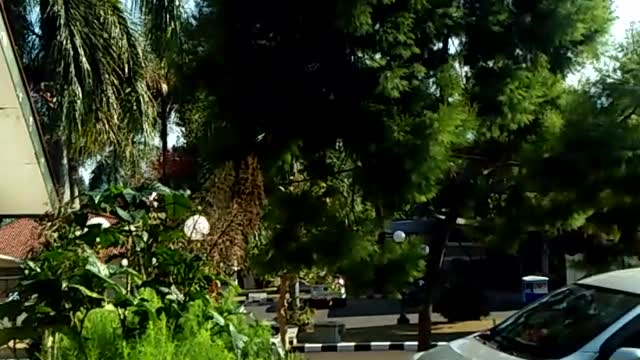 Villa puncak Bogor city