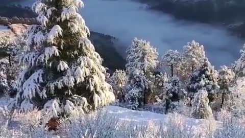 Beautiful snow fall videography