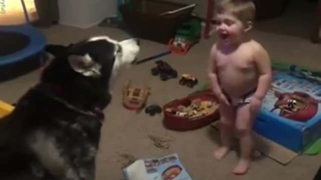 Toddler_laughs_as_he_and_husky