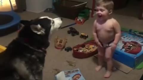 Toddler_laughs_as_he_and_husky