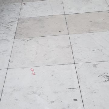 Hyper Cats showing of tackling and playing with ball