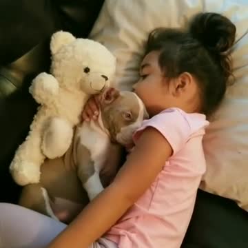 Adorable cachorro se acurruca con una pequeña niña