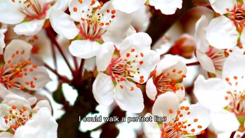Flowers in full bloom
