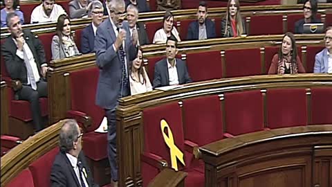 La provocadora separatista Elsa Atardi Vila coloca un lazo nazionalista ante diputados de Cs