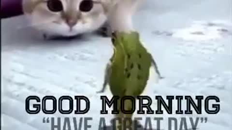 Have a great day with encouraging words