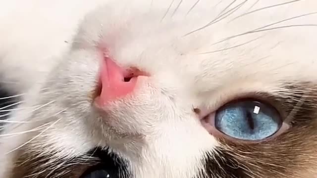 Nice glasses.