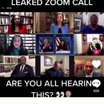 Evidence Joe Biden is a RACIST!