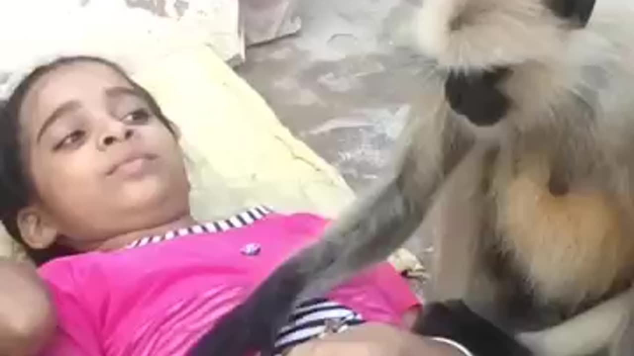 5s.funnr.video