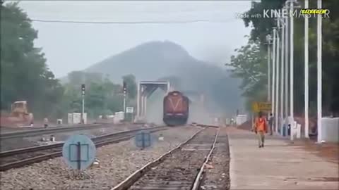 Animals vs Train