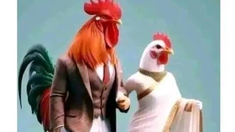 Choti jai Zindagi