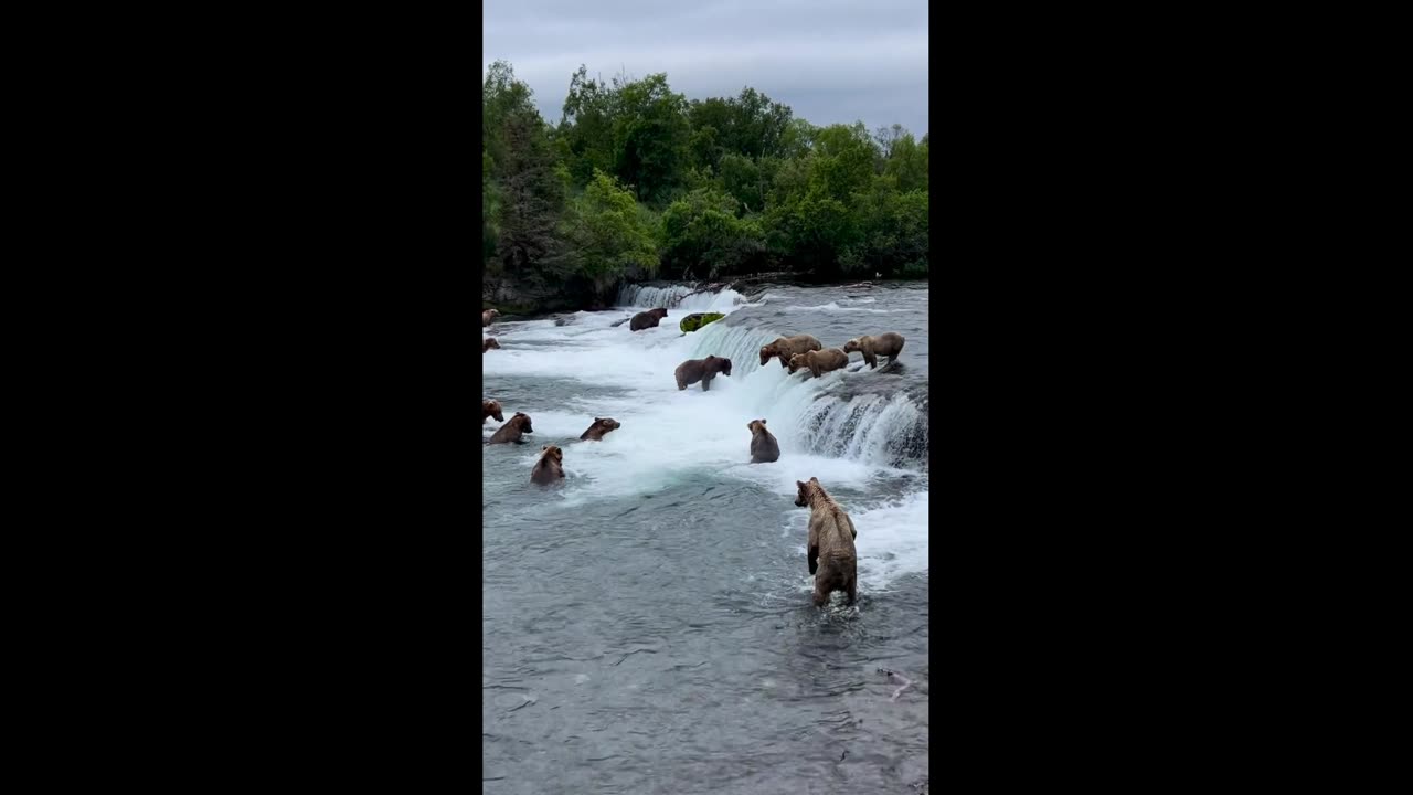 When there are many fishermen per square meter of water!