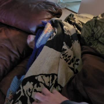 Hidden Monster Puppy Dog