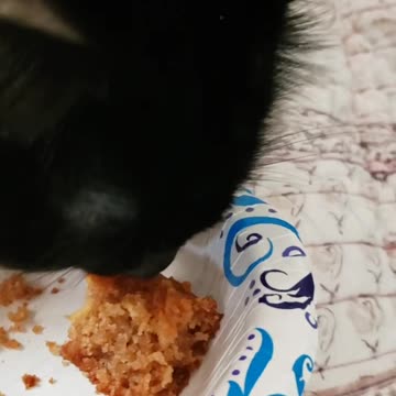 Bessie tried Almond/Apple cake