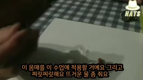 와 미친 캡슐에 산화 그래핀 캡슐에 자석 검사 필수