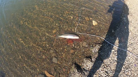 Time lapse fishing Unity reservoir