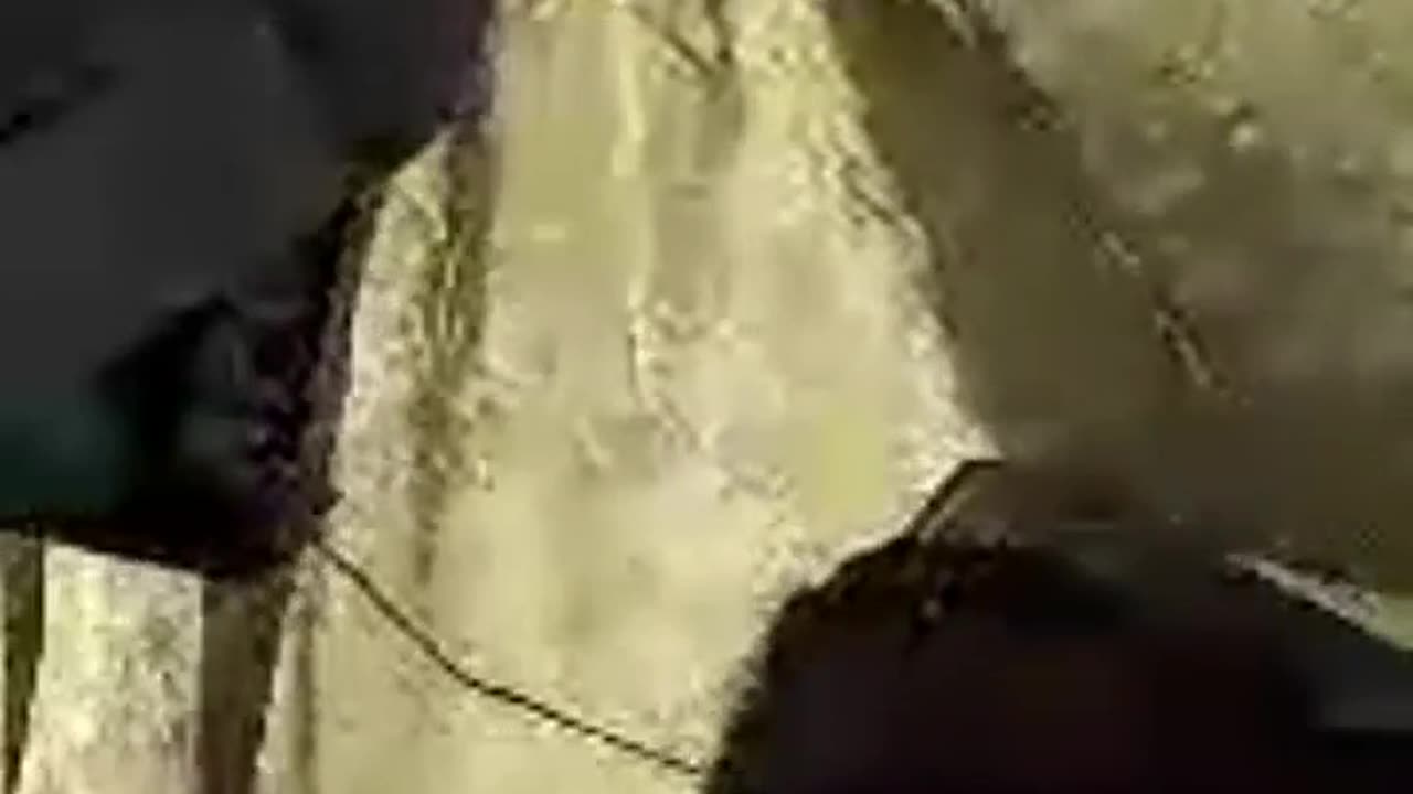 Inizio e fine, punto 0 (40 continua ...)