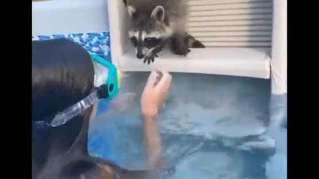 AWW SO SO CUTE! Cutest baby animals Videos Compilation Cute moment of the Animals 2021