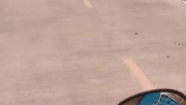 Lizard Makes Rider Nervous on Road