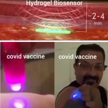 LUCIFERASE hydrogel biosensor