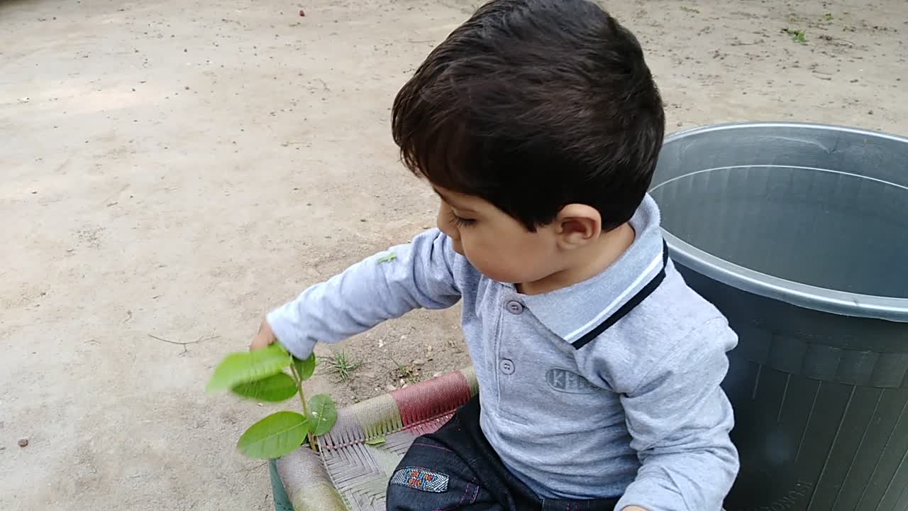 Cute kid playing with leaves of guava like he has an aeroplane in his hand