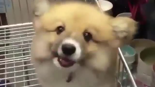 I love to go to the supermarket