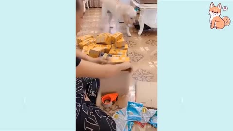 Recuerda que ellos también tienen sentimientos 🐕🐕