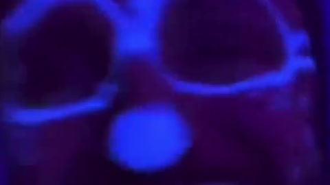 When someone prepares you for the disco