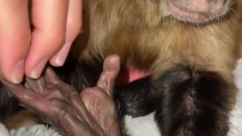 Tell me shes not rotten! 🤣🤣🤣🦶🏿🐒