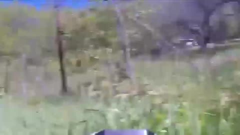 +18 Disturbing Video showing dead and wounded