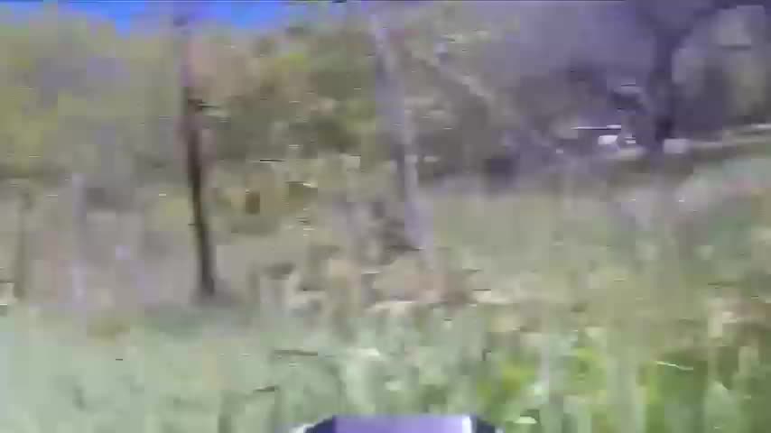 +18 Disturbing Video showing dead and wounded