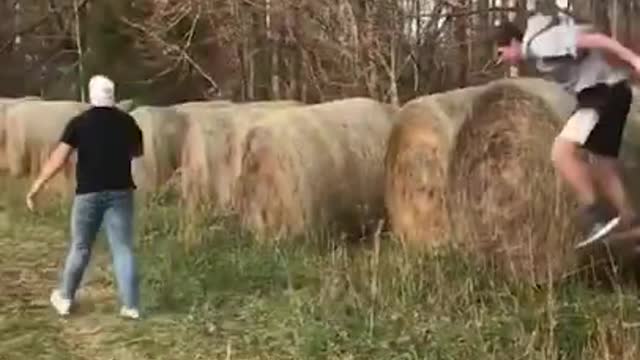 Best Funny Video Clips #shorts (139)