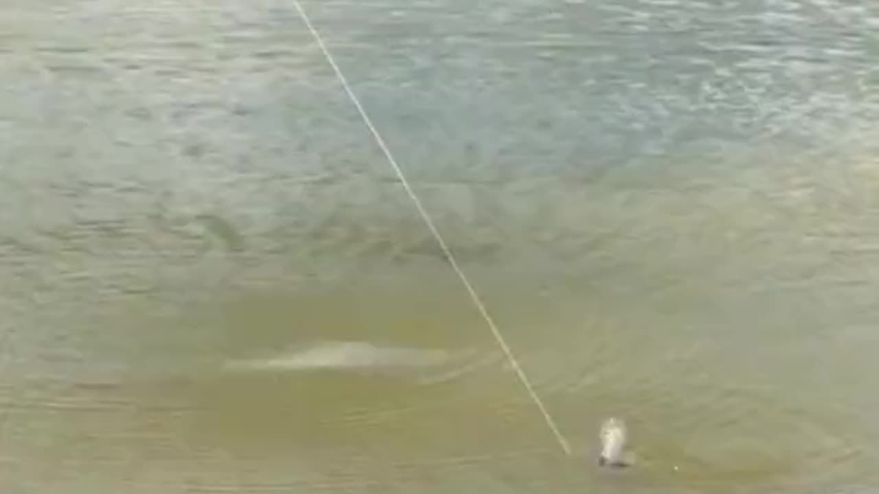 Fishing Drone