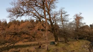 Panning away from a riverside wildcamp. GoPro