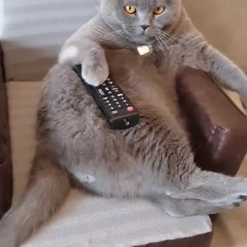 Ha ha ha 😅🤣🖥️