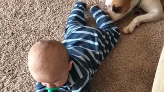 Puppy playing with baby