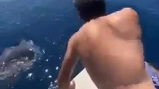 Un hombre montado en una gran ballena _ woow Cabalgó sobre una poderosa ballena