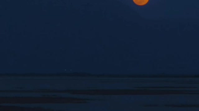 Skyline of a desert with the moon at night