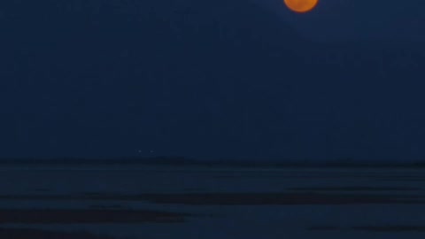 Skyline of a desert with the moon at night