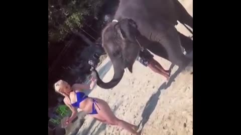 Funny ,sexxy ,girl complication