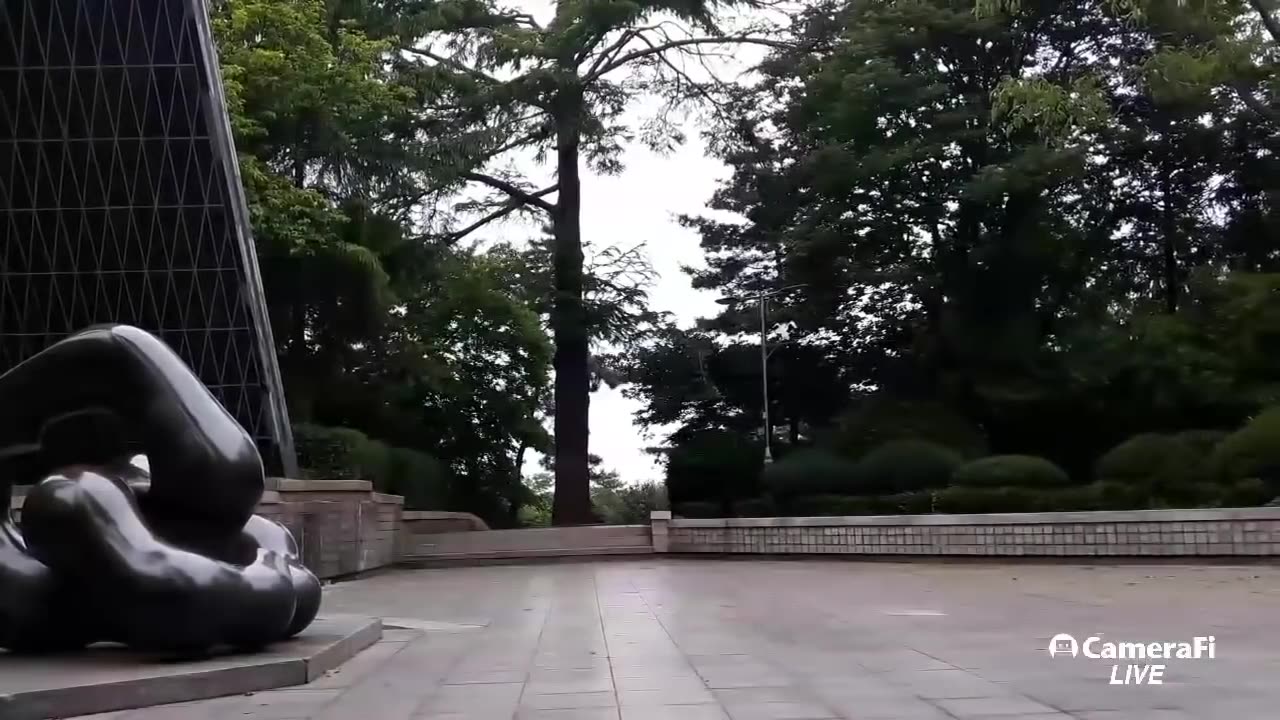 20190611_V3_S03(Hl98mTKGxOk)한미수교 137년이 지난 오늘 한미의 관계는 어떠한가요_